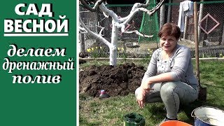 Уход за садом весной Как сделать дренажный полив плодовых деревьев