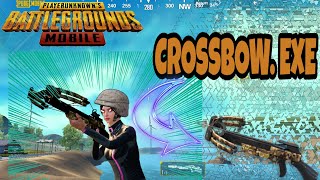 CrossbowMaster.EXE | PUBG MOBILE