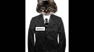 Adviser cat - how to watch TV