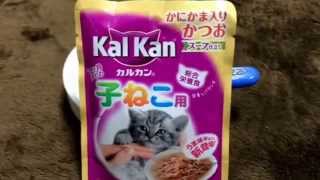 【カルカン】（ＫａｌＫａｎ）「カルカン子ねこ用カニかま入りかつおスープ仕立て」のレビュー