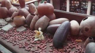 EL CHOCOLATE ☆ COLEGIO DE CHEFS & SOMMELIER ☆