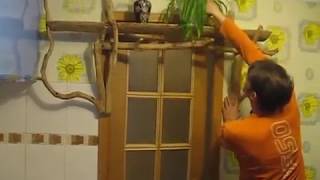 Необычная мебель из коряг! Эксклюзивный интерьер!