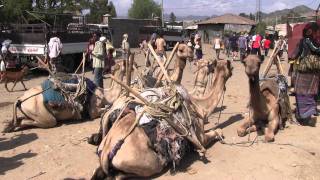 Ethiopie Bati Market