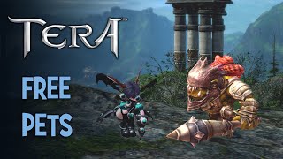 TERA • Free pets • Bam Bam • Tutorial