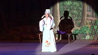 Mickey Zhao 雅韻歌劇坊 大稻埕戲苑演出 雁門桃花開 (8) 2019 5/12