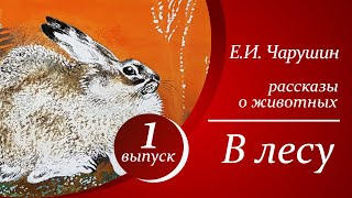 Е. И. Чарушин - В лесу  |  Аудиорассказы для детей