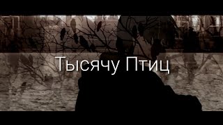 [AMV]Коёми Арараги-Тысячу птиц