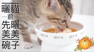 奴才第一次為師傅仔做「全鮮食」，但重點錯放在美美的碗子上！？丨麻糬貓奴鮮食料理 014
