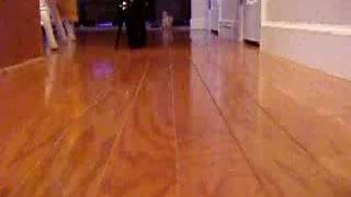 Ballet Boots on Hardwood Flooring