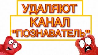 ЖЕЛЕЙНЫЙ МЕДВЕДЬ ВАЛЕРА УМИРАЕТ!!! КАНАЛ "ПОЗНАВАТЕЛЬ" ХОТЯТ УДАЛИТЬ!!!