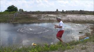 GOLDEN SHINER GOLD MINE   THROWING A BIG CAST NET FOR LIVE F