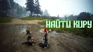 Black Desert КВЕСТ НАЙТИ КИРУ