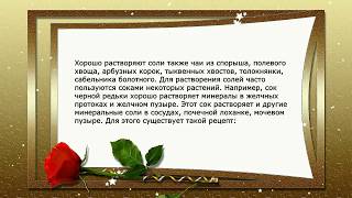 Рецепты долголетия Б.Болотова. Правило №3 . ВЫВЕДЕНИЕ СОЛЕЙ