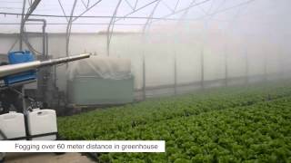 pulsFOG Plant Protection Application in Greenhouse for lettuce