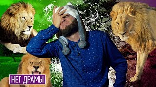 ЛЕВ, ТЫ МУД*К! | ПОРА ОСТАНОВИТЬСЯ!