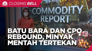 Batu Bara Dan CPO Rebound, Minyak MentahTertekan?