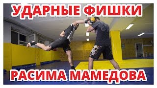 Ударные комбинации Расима Мамедова ✔ Проспект лиги WWFC