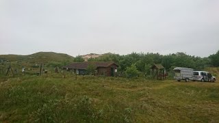 Как всё успеть и не здохнуть??? 
11.06.2019