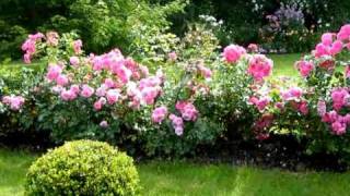 Jardin Riis