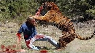 SHOCKING VIDEOS