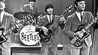 American Beetles "School Days"