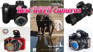 TOP 5 Best Cheap Rated DSLR Cameras 2019 -  For Photography & Video - Buy Now