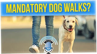 Taking Dog for Walks Twice a Day Could Become the Law in Germany (ft. Anthony Lee)