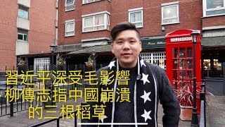 （中文字幕）民企未路？習近平深受毛澤東治國理念影響！聯想柳傳志指出中國崩潰的三根稻草，20191227