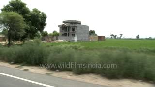 Houses in rural Punjab