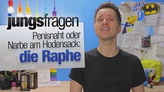 Penisnaht, Narbe am Sack, Raphe | jungsfragen.de