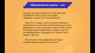 Физика. Колебания и волны