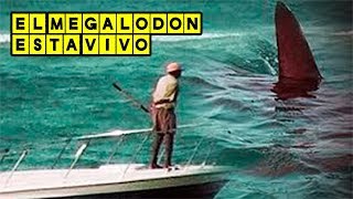 El Megalodón está vivo | 10 datos geniales del Megalodón ?