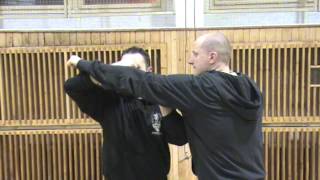 Systema Plzeň - ukázka z tréninku