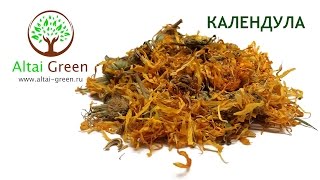 Календула - чем полезны цветки Календулы?