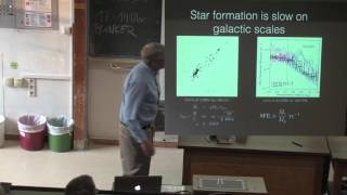 Norman Murray: Collapse and Star Formation in Self-gravitating Turbulent Fluids