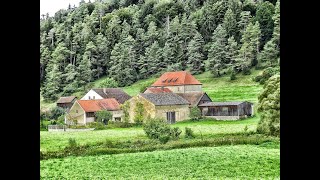 НЕОЖИДАННЫЕ СОБЫТИЯ. ЧТО ВАМ УГОТОВАНО В   БЛИЖАЙШЕЕ ВРЕМЯ ? ЧТО МЕНЯ ЖДЕТ ПО СУДЬБЕ. КОЛЕНА ТАРО