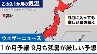 1か月予報 9月も残暑が厳しい予想