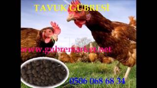 En İyi Tavuk Gübresi, Ucuz Tavuk Gübresi, Tavuk Gübresi Ne İşe Yarar, Tavuk Gübresi İçeriği