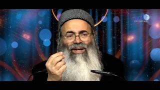 אין לך שכל! איך אתה עושה כזה דבר קליפ שופר