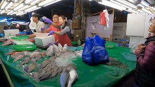 海鮮叫賣!竹圍漁港之花!太誇張了!兩尾瓜仔魚只要10元!這種價格要去哪找? (一包乖乖都超過10元了)!竹圍漁港!