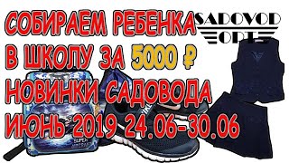 СОБИРАЕМ ДЕТЕЙ К ШКОЛЕ ЗА 5000 ₽ НА РЫНКЕ САДОВОД ИЮНЬ 2019 24.06-30.06 | Маша Копытина [sadovodopt]