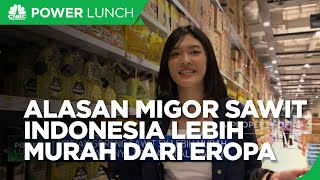 Ini Alasan Migor Sawit Indonesia Lebih Murah Dari Migor Eropa