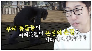 형님 누님 보셨으면 모금함에 팁 좀 넣어주십쇼~ / 플래닛 주(Planet Zoo) 하이라이트
