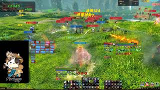 Archeage 4.5 Healer No.002