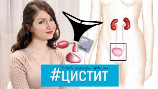 #ЦИСТИТ