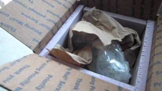 Fish Packaging