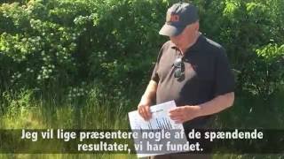 Optimale såtidspunkt for efterafgrøder