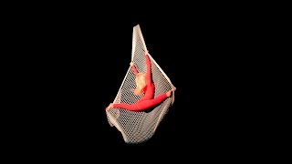 Aerial Net by SVETLANA arts