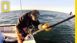 Wicked Tuna - Season 2, Episode 15 Preview | Wicked Tuna