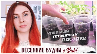 ОНИ ТАК ВЫРОСЛИ!! ДОМАШНИЕ ХЛОПОТЫ И ПРИЯТНЫЕ ПОКУПКИ